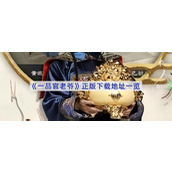 一品官老爷在哪里下载-一品官老爷正版下载地址一览