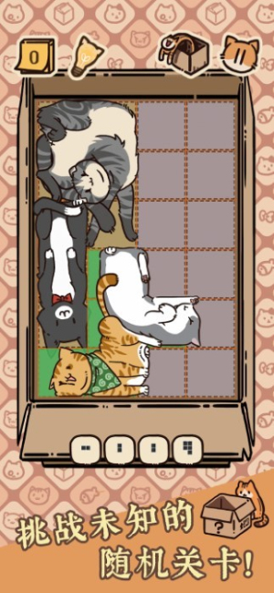 盒子猫最新版