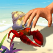 赶海日记手机版