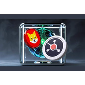 Ruvi AI（RUVI）成为今夏首选，CMC上市引发狂热，其13200%的投资回报率预测可能比柴犬币（SHIB）更快实现