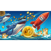 狗狗币（DOGE）价格预测：随着大额持有者推动价格迈向0.70美元，狗狗币或将迎来突破