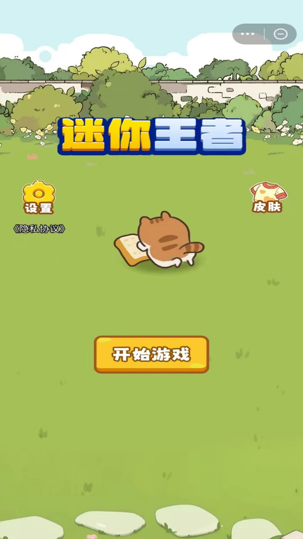 迷你王者