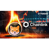 柴犬币开发者揭秘Chainlink如何销毁SHIB：详情 