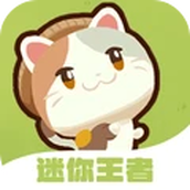 迷你王者