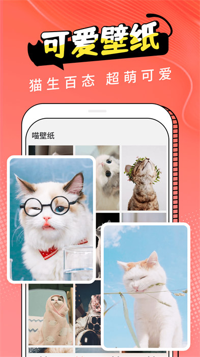 动物交流器最新版本