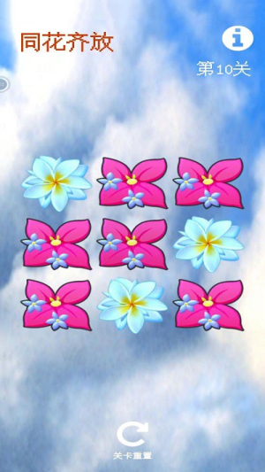 同花齐放手机版