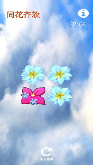同花齐放手机版