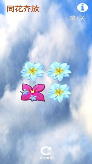 同花齐放手机版