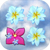 同花齐放手机版