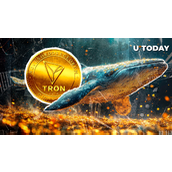 24小时交易量达6,950,000,000 TRX，波场巨鲸酝酿大动作