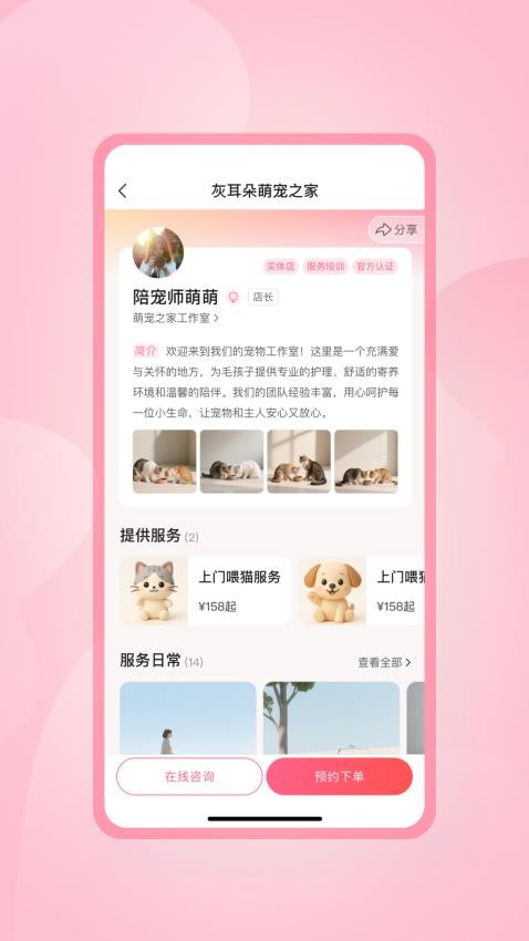 灰耳朵陪宠