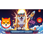 柴犬币（SHIB）价格预测：SHIB坚守0.00001247美元支撑位——链上数据激增能否引爆下一波模因币热潮？