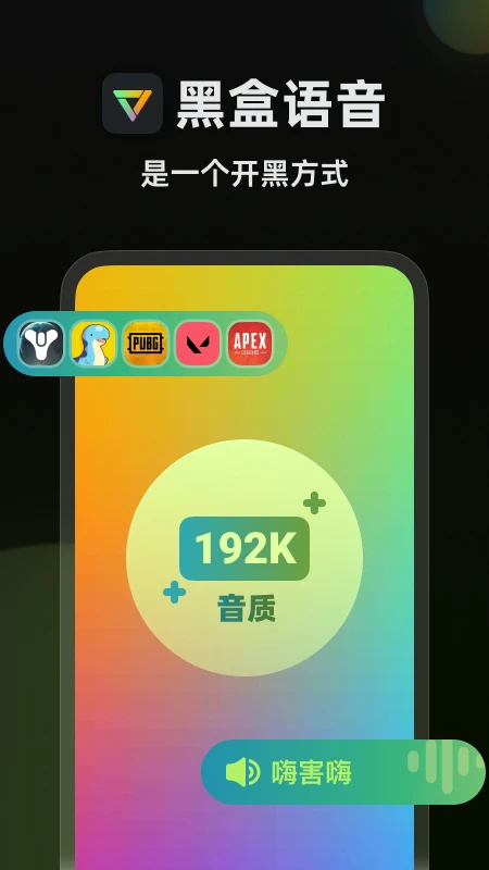 黑盒语音