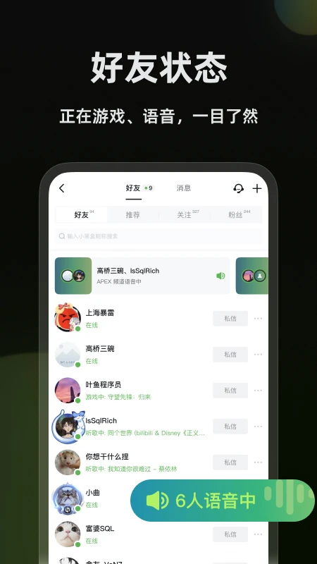 黑盒语音
