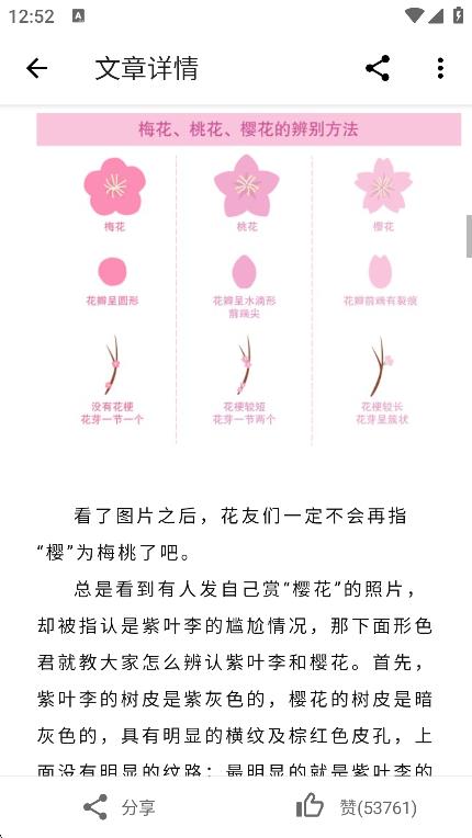 形色植物识别