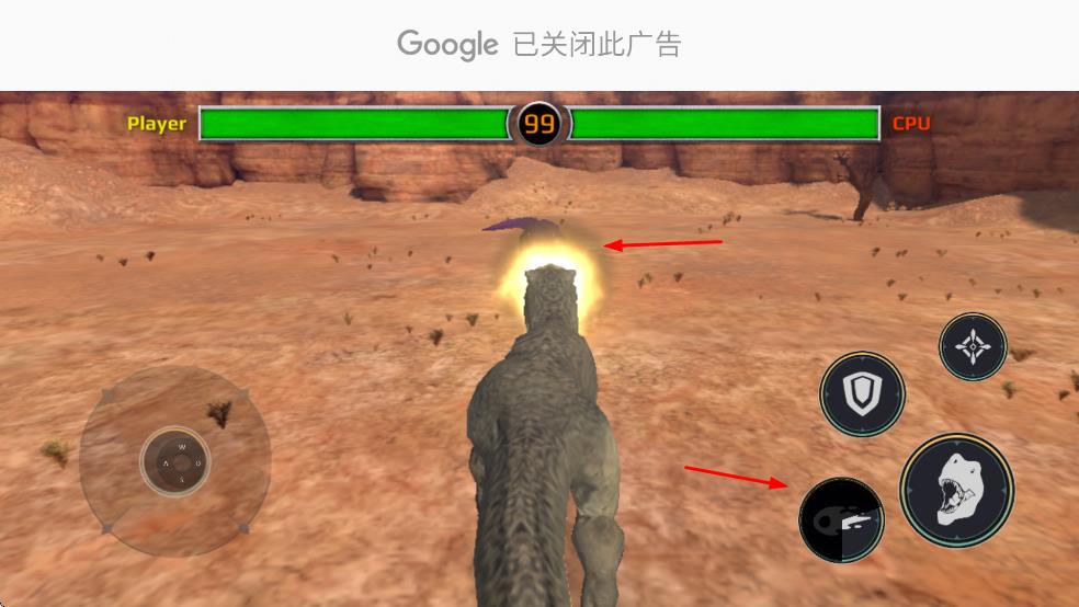 迈阿密霸王龙