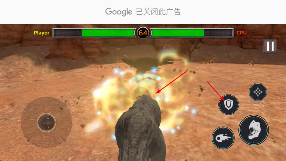迈阿密霸王龙