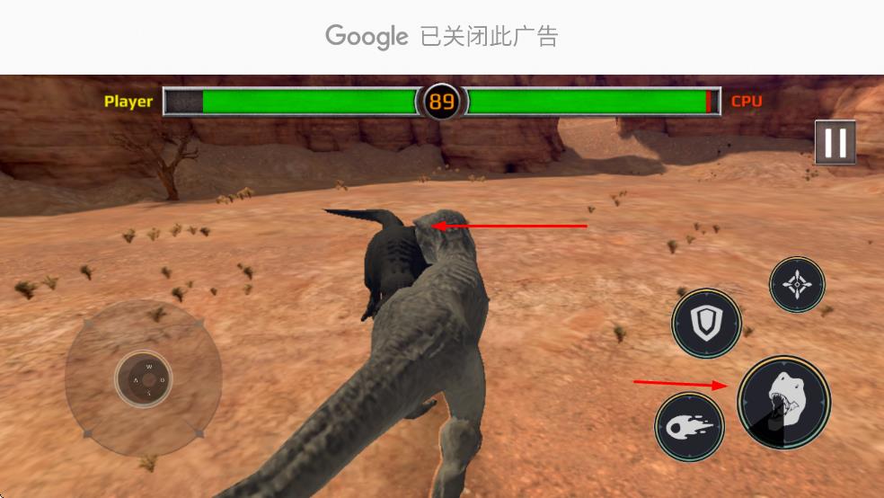 迈阿密霸王龙