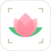 识花大师