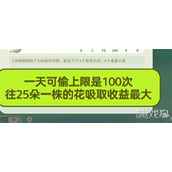 米姆米姆哈苍翠小花产量怎么提升 苍翠小花产量提升攻略