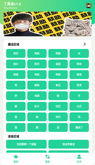 丁真盒最新版