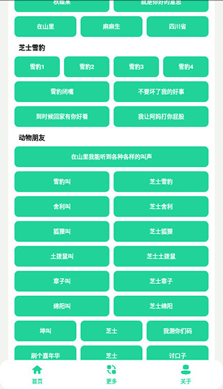 丁真盒最新版