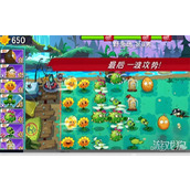 植物大战僵尸3花园战争怎么玩 花园战争玩法介绍