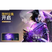 命运群星格温角色如何