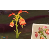 原神悼灵花在哪 悼灵花采集路线分享
