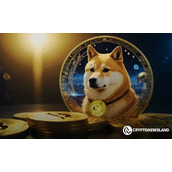CleanCore 国库储备突破 5 亿枚狗狗币，公司瞄准 10 亿枚新目标