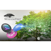 WisdomTree推出CRDT基金，为零售和机构投资者提供代币化私人信贷投资渠道