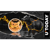 零成本柴犬币转折令空头消失，SHIB将迎来什么？