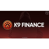 K9 Finance为造成240万美元黑客攻击的黑客提供2.3万美元赏金
