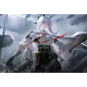 鸣潮赞妮武器选什么-鸣潮赞妮武器推荐