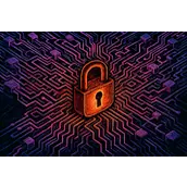 除了BTC、ETH，哪些山寨币正被企业大举买入？