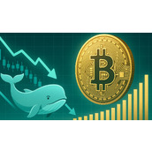 比特币鲸鱼供应量降至352万枚BTC——详情