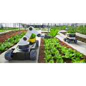 股价飙3倍！农业科技公司AgriFORCE转型AVAX财库，募资七亿美元更名AVAX One