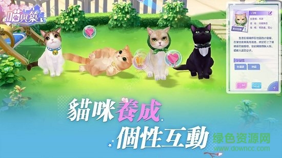 喵与筑官方版