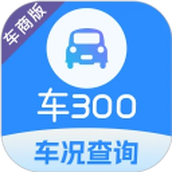 车300专业版软件