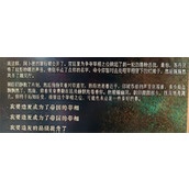 苏丹的游戏强制成为宰相原因介绍说明