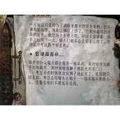 苏丹的游戏喂养凶狮结局介绍说明