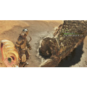 怪物猎人荒野冬龙夏草获取方法分享