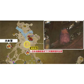 怪物猎人荒野美声歌鸮具体位置分享