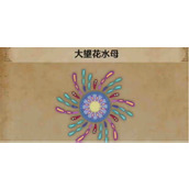 怪物猎人荒野大望花水母具体位置分享