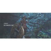 怪物猎人荒野探寻神秘的光辉任务攻略