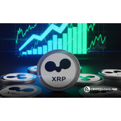XRP巨鲸购买量创历史新高，市场辩论激烈