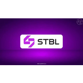STBL驳斥猜测，详述审计与USST推出计划