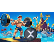 XRP价格预测：XRP瞄准重大突破，重点关注3.70美元头肩顶颈线