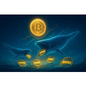 比特币Hyper预售逼近2000万美元，巨鲸4天狂买50万美元：最值得购买的加密预售项目