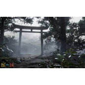 寂静岭f成为针灸医师奖杯解锁攻略 成为针灸医师奖杯达成方法